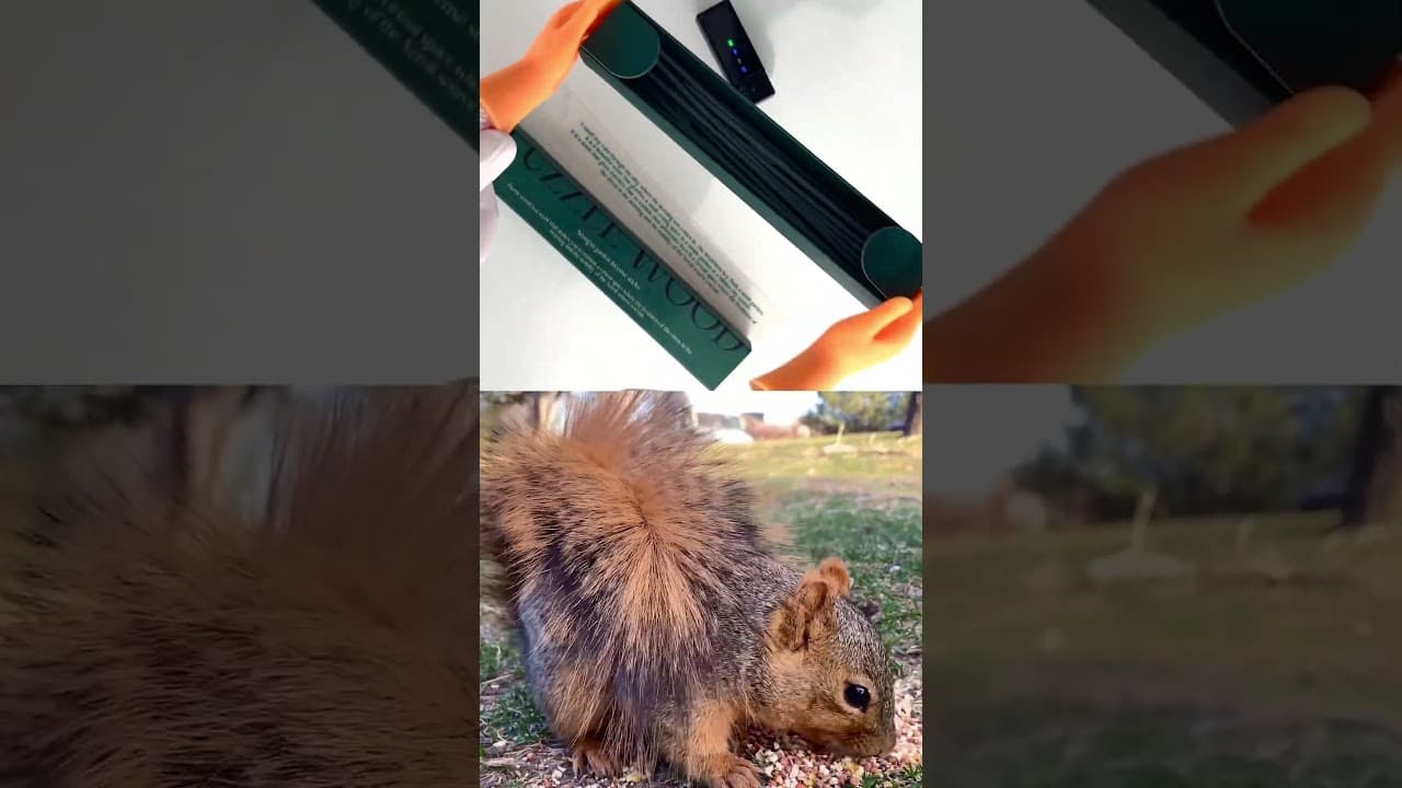 올리브영 추천템 솔직 리뷰
