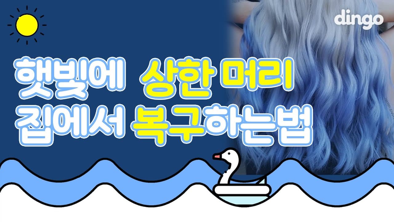 콘텐츠